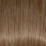 Sea Shell 6C