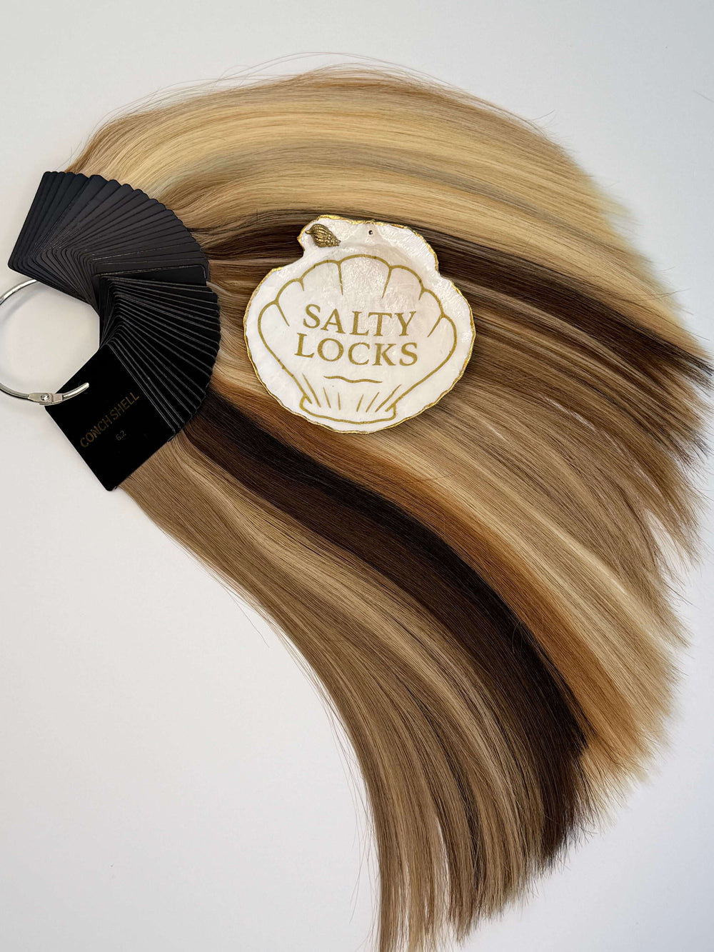 Salty Locks Color Ring - Salty Locks Luxury European Hair Extensions