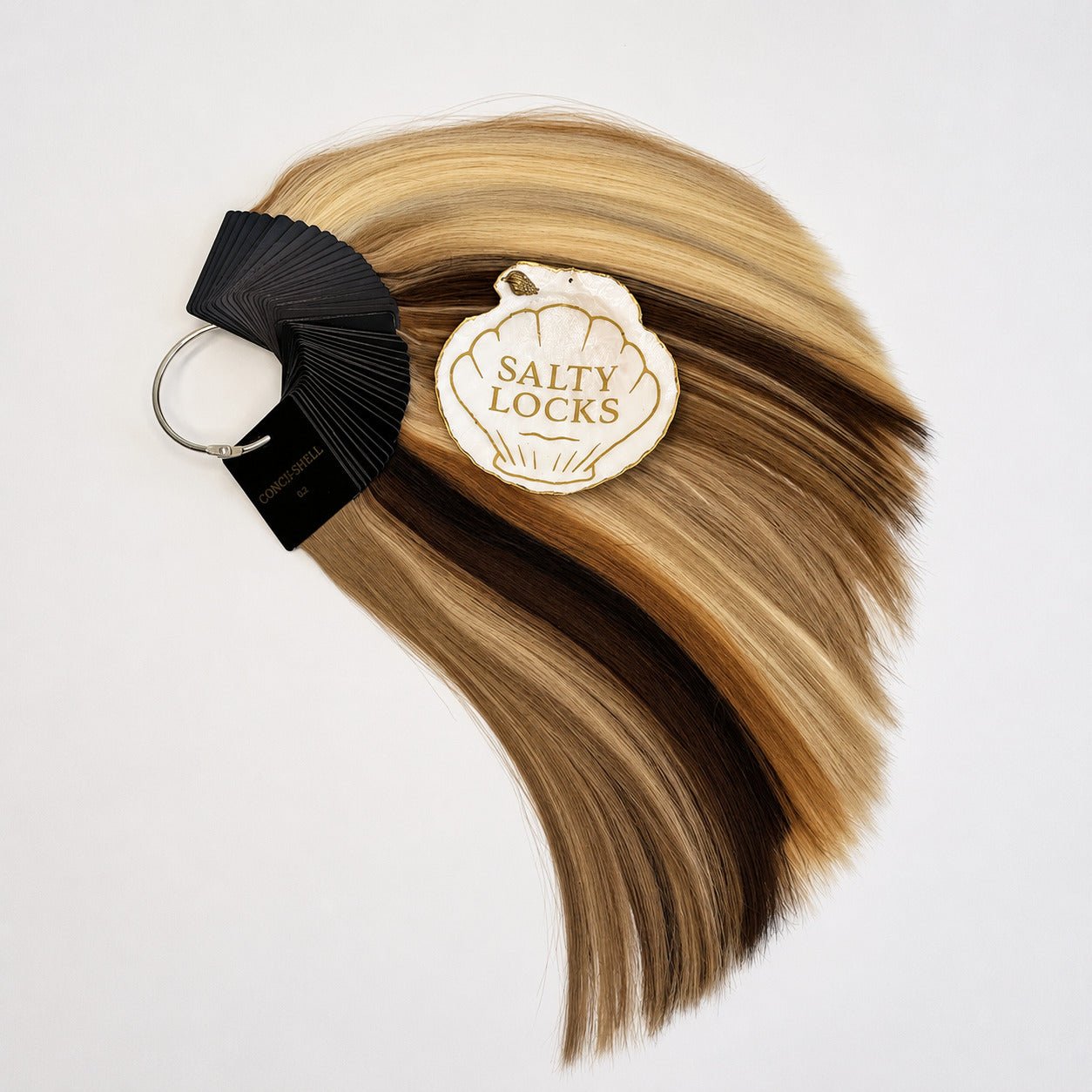 Salty Locks Color Ring: The Gold Standard for Precision Consultations - Salty Locks Luxury European Hair Extensions